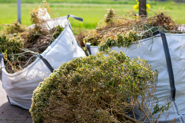 Best Recycling Services for Junk  in Lake Alfred, FL